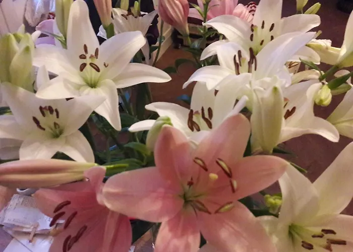 T1 Hyper Centre Avec Balcon