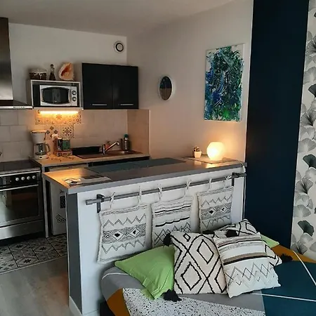 아파트 T1 Hyper Centre Avec Balcon