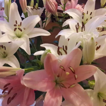 T1 Hyper Centre Avec Balcon